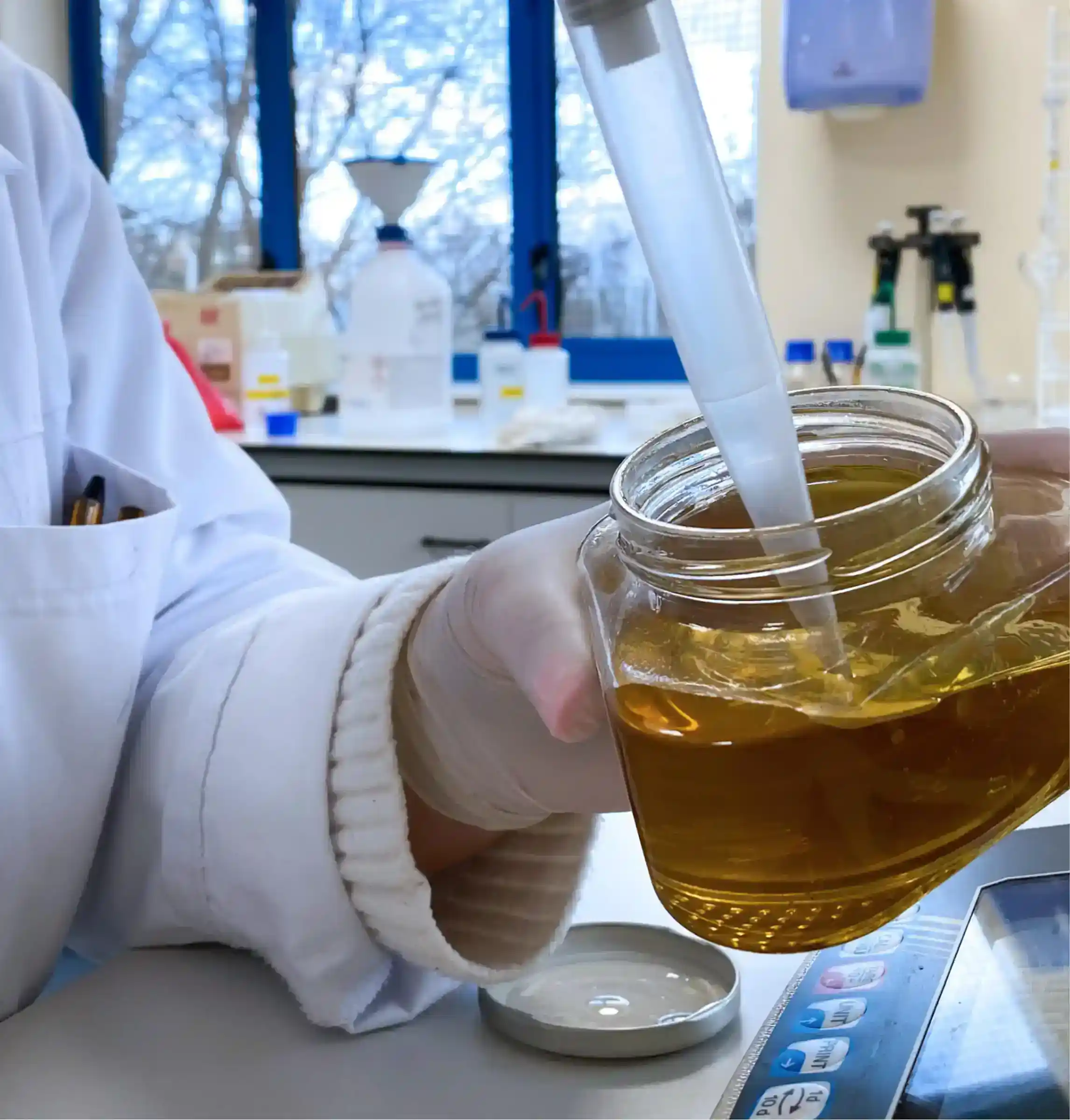Honey samples undergoing laboratory analysis